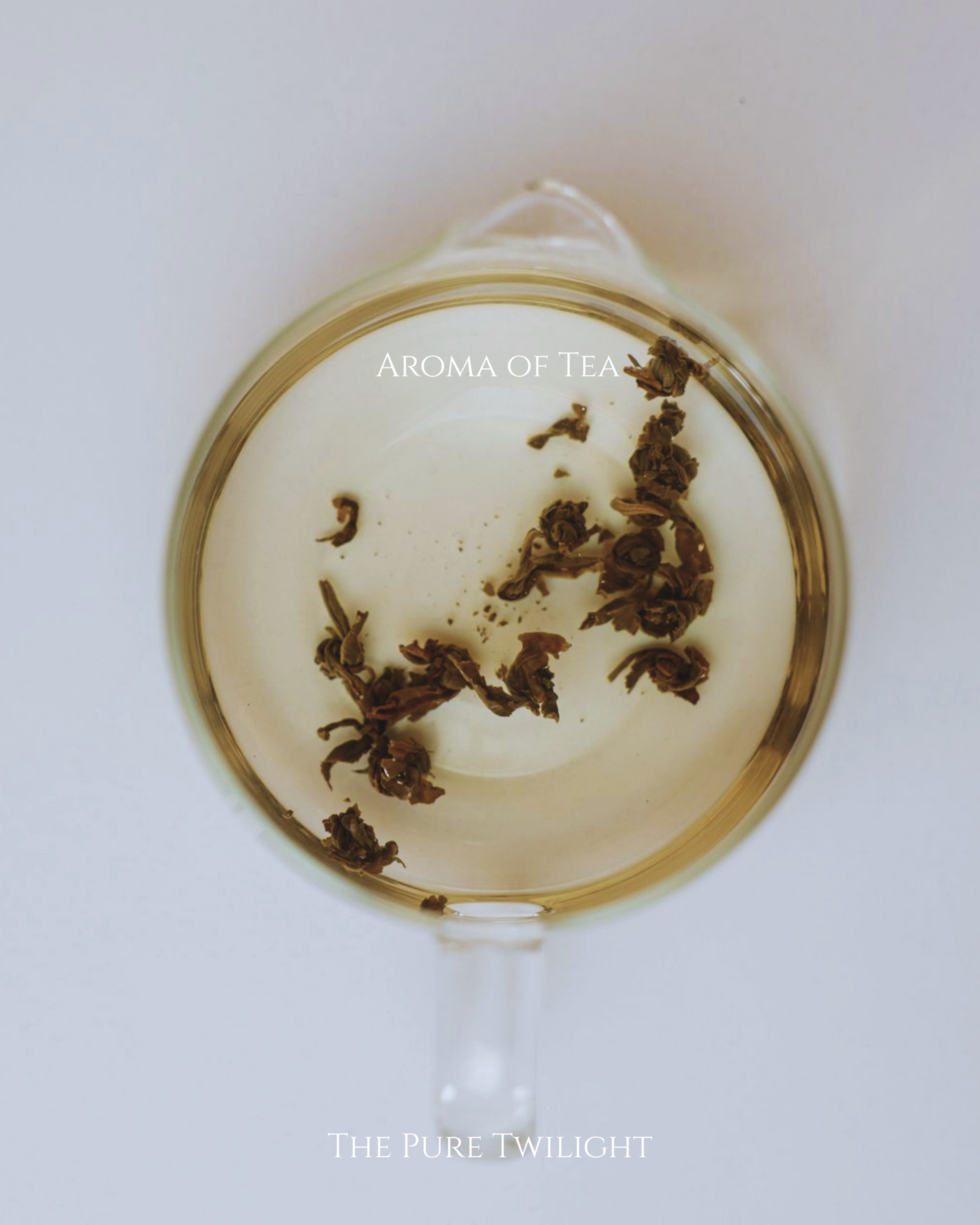 402 Cold Brew Oolong | 冷泡烏龍茶