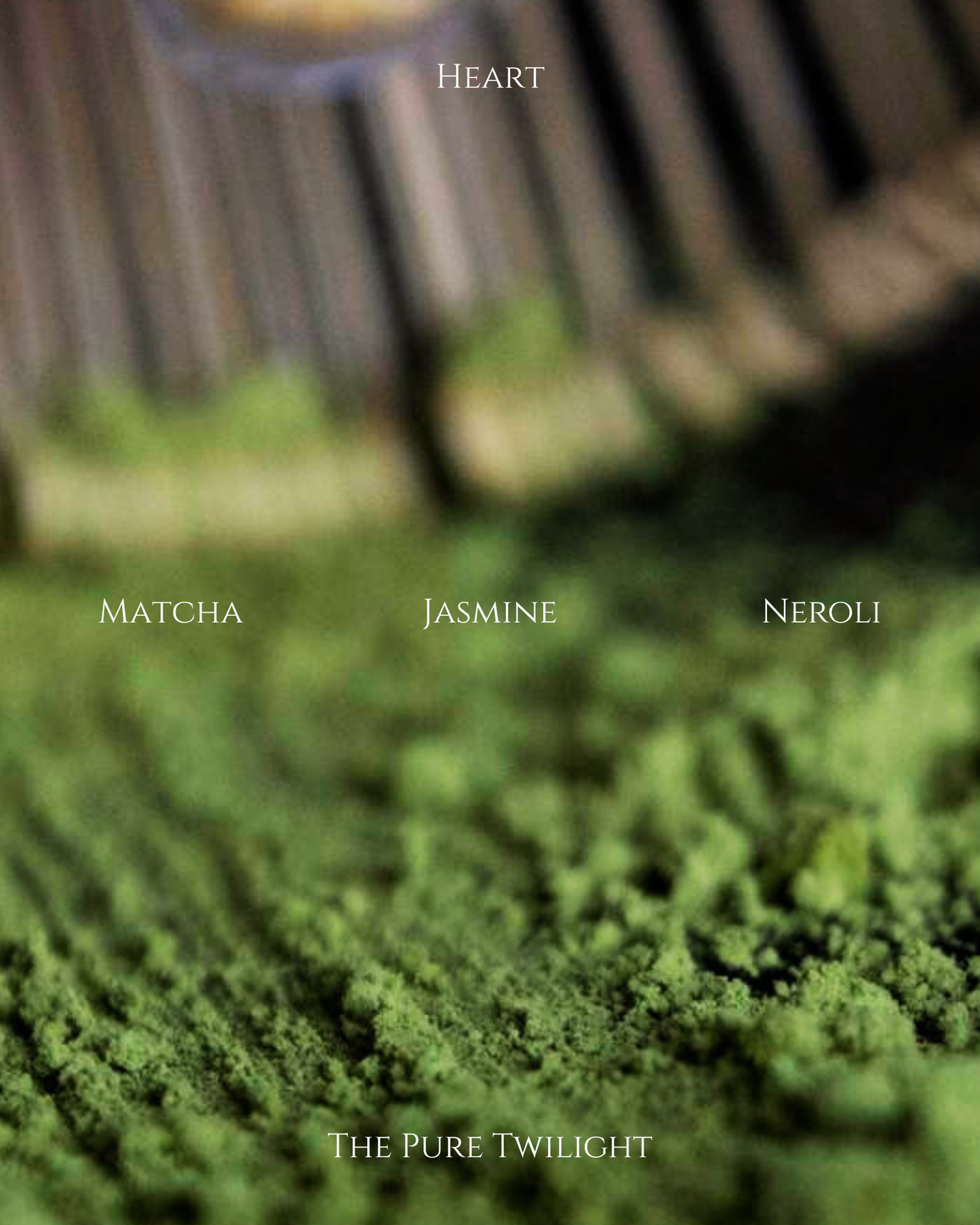 405 Matcha | 抹茶