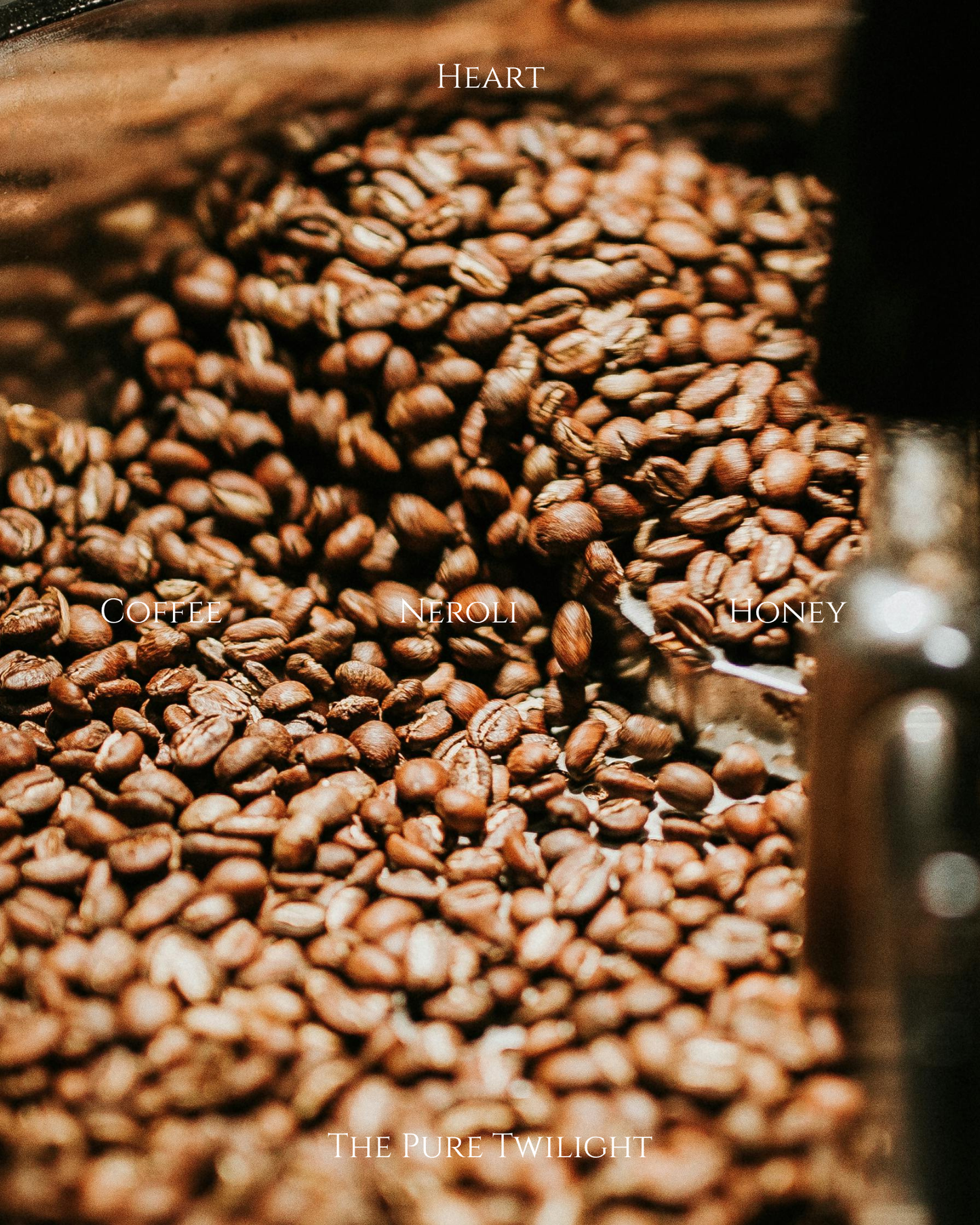 001 Black Coffee | 研磨黑咖啡