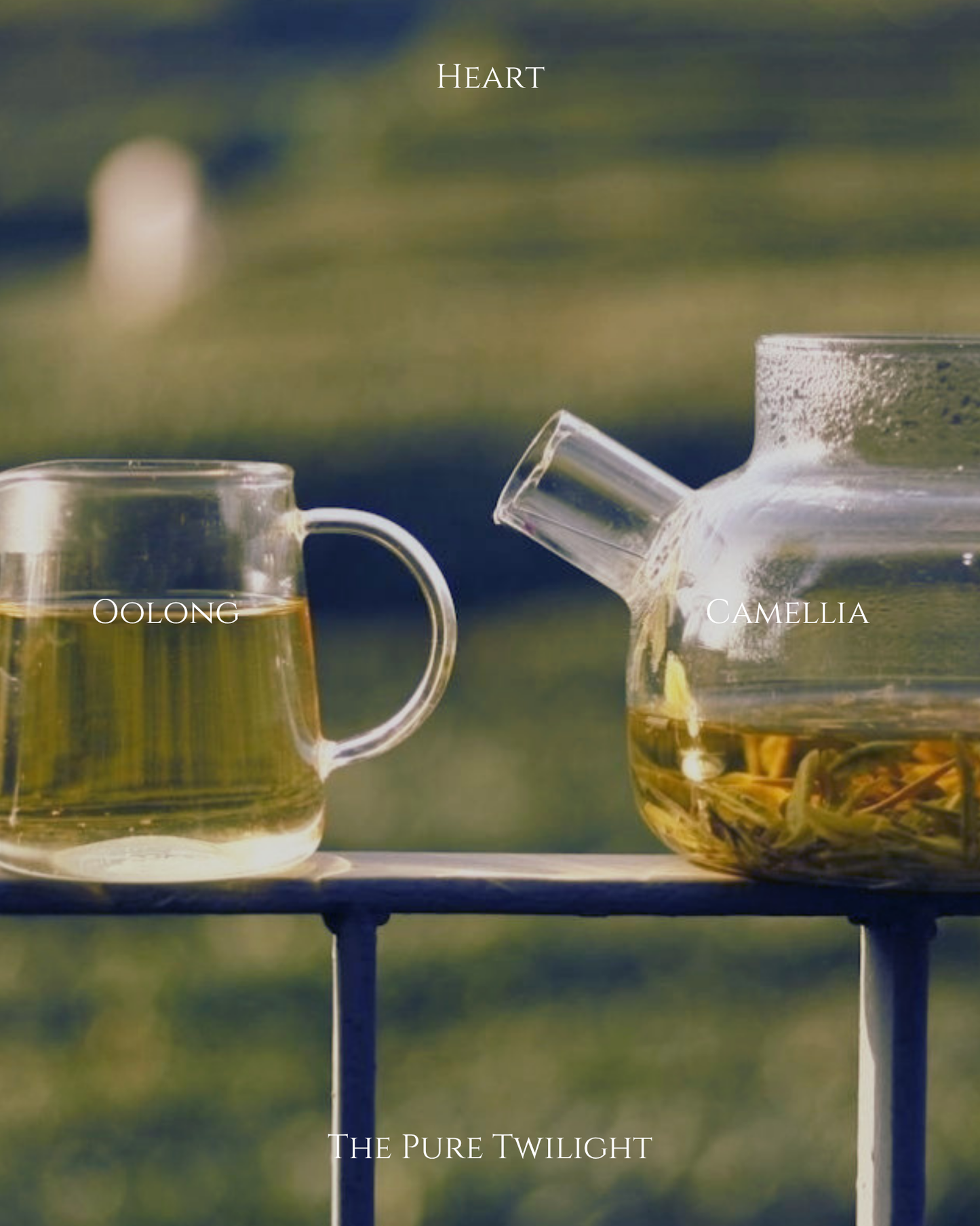 402 Cold Brew Oolong | 冷泡烏龍茶
