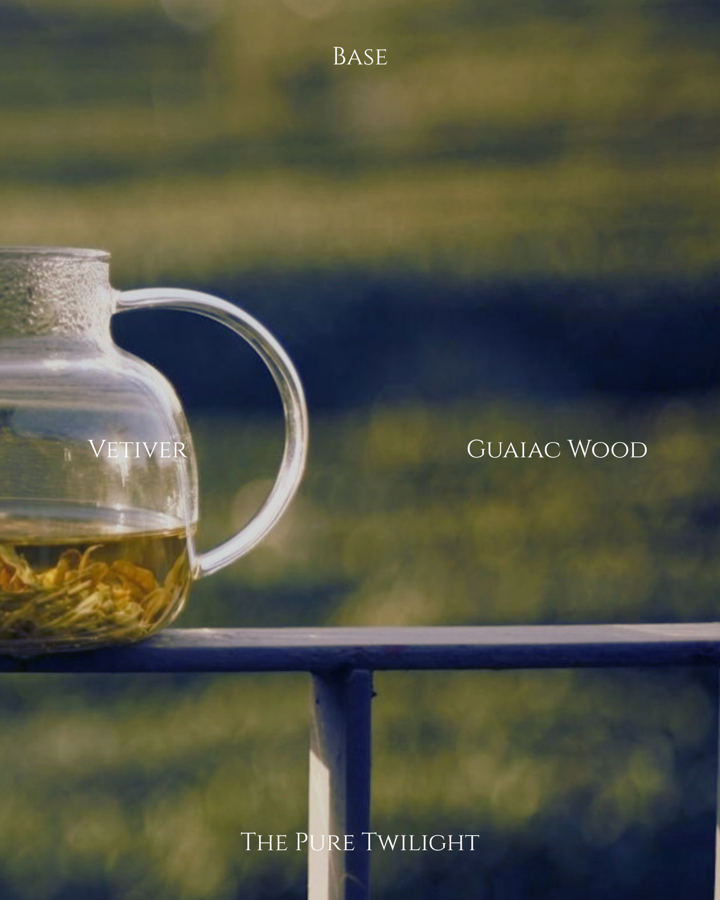 402 Cold Brew Oolong | 冷泡烏龍茶